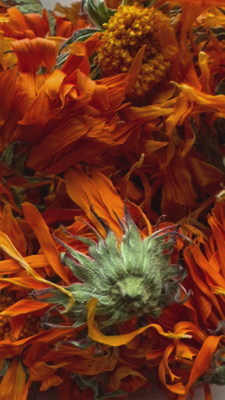 calendula flowers